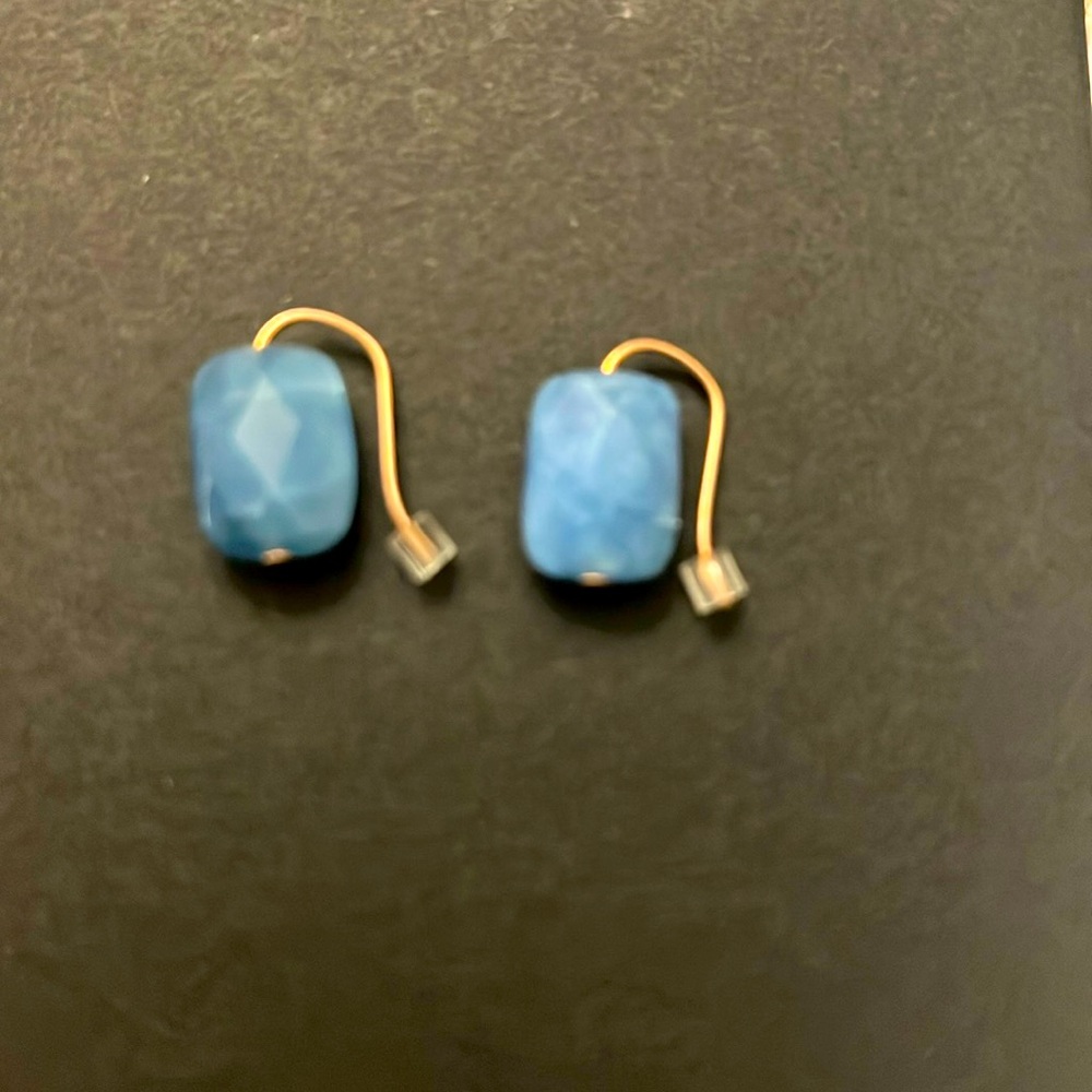 Alex and Ani Earrings